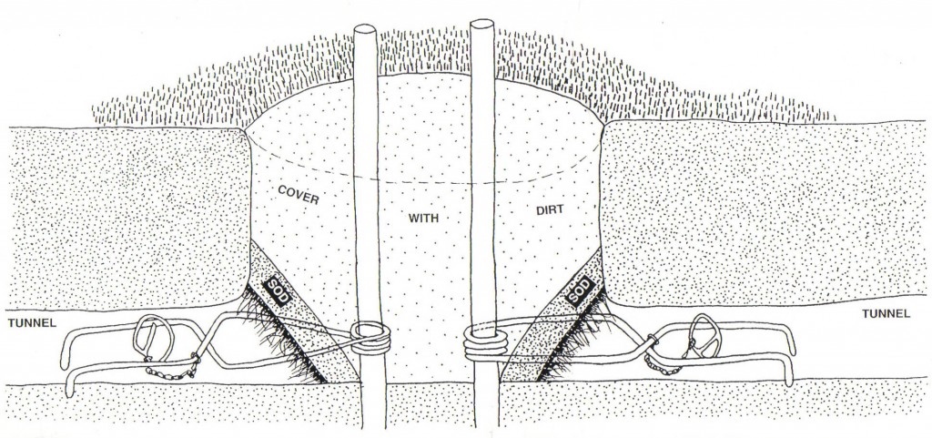 NoMol Mole Trap Set Diagram